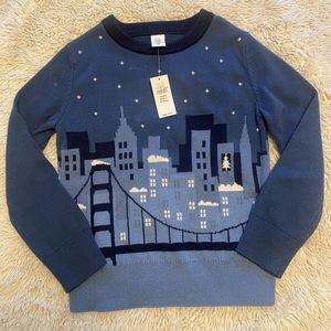 Little Boys Gap Sweater